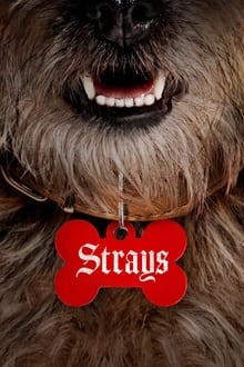 Strays